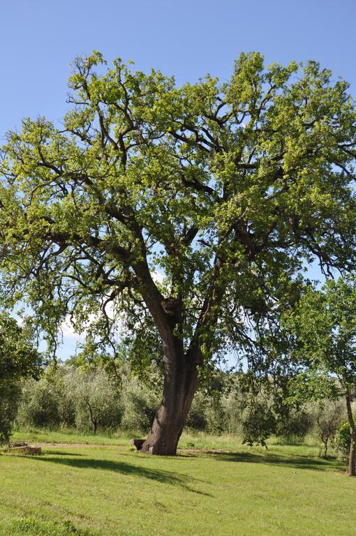 Il Borgo Di San Michele Βίλα Papigno Εξωτερικό φωτογραφία